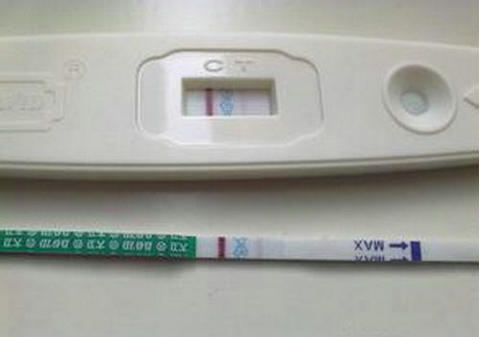 志愿者借卵代孕咨询怎么收费